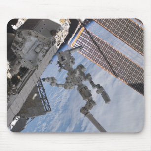 Detbyggde Dextre robotic systemet 2 Musmatta