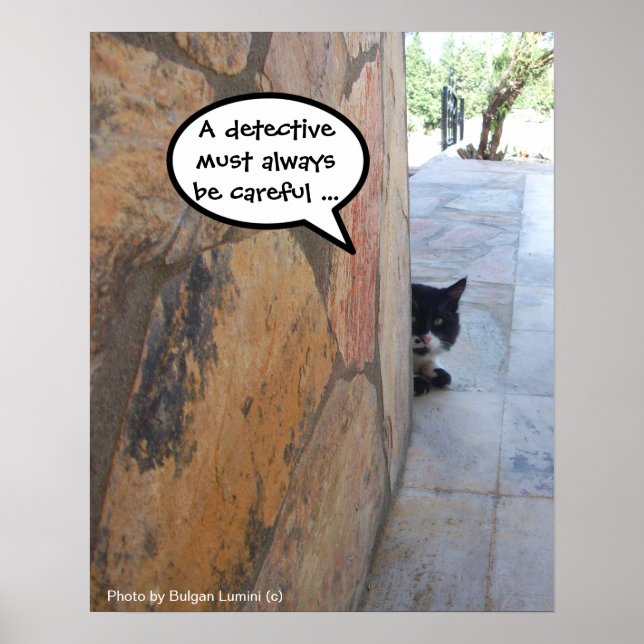 DETECTIVE KATT BAKOM STENVÄGGEN / Fars dag Poster (Framsidan)