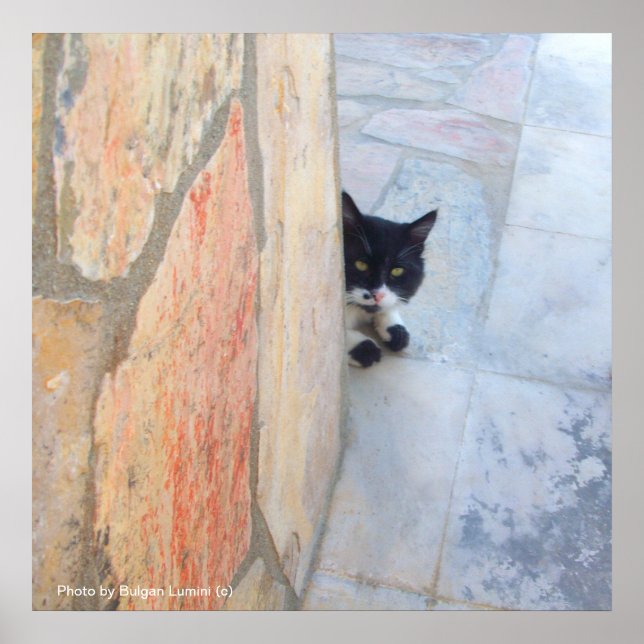 DETECTIVE KATT BAKOM STENVALLEN / Fars dag Poster (Framsidan)