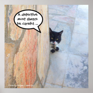 DETECTIVE KATTEN BAKOM STENVALLEN / Fars dag Poster