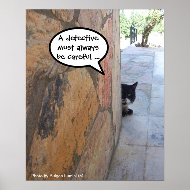 DETECTIVEKATTEN BAKOM STENVÄGGEN / Fars dag Poster (Framsidan)