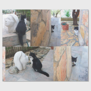 DETEKTIV KATT BAKOM STONSKALEN PRESENTPAPPER