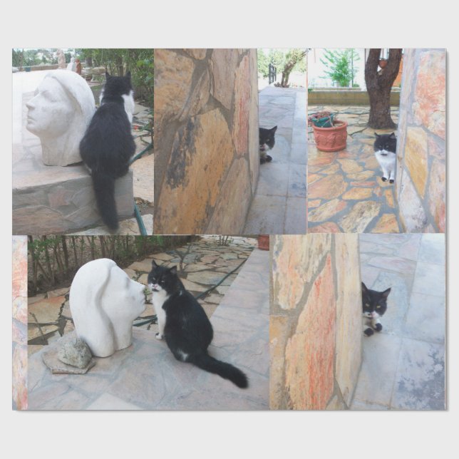 DETEKTIV KATT BAKOM STONSKALEN PRESENTPAPPER (Platt)