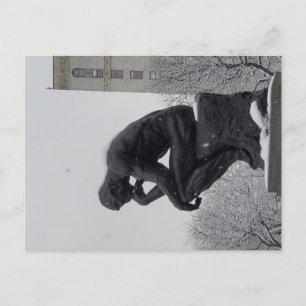 Detroit Museum of Art Postcard Vykort