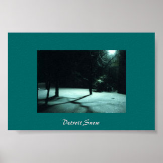 Detroit Snö Poster