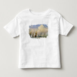 DetSvensk havskrig nära Kronstadt i 1790 Tee Shirt
