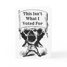 Detta är inte vad jag röstade för