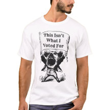 Detta är inte vad jag röstade för