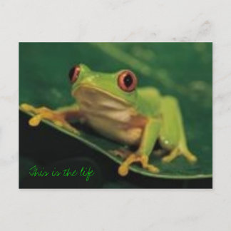 Detta är livet vykort