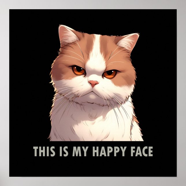 Detta är min glada ilska Katt Poster (Framsidan)