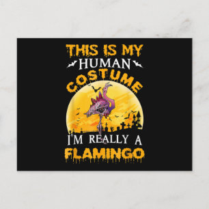 Detta Är Min Mänskliga Kostym Verkligen Flamingo H Helg Vykort