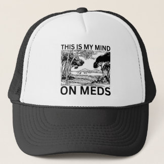 Detta är min uppfattning om Meds Keps