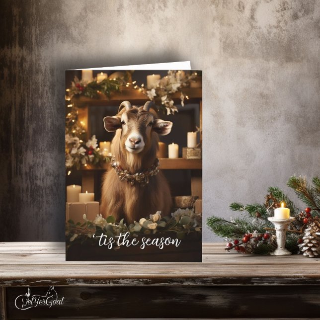"Detta är säsong Toggenburg Goat Kort (If you love goats - this is a great  Holiday card to send - festive and frame worthy #zazzlemade )