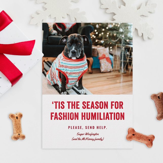 Detta är säsongen för humiliationsjul (funny humor Christmas holiday photo cards for pets in ugly sweaters or costumes fashion)