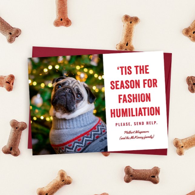 Detta är säsongen för Mode humiliation-jul (Funny pet photo holiday card reads "tis the season for fashion humiliation ... please send help")