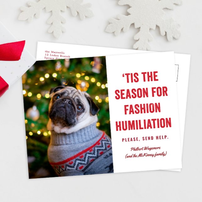 Detta är säsongen för Mode humiliation-jul Vykort (funny Christmas holiday photo card postcard for ugly sweater and weird hat pictures)