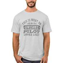 Detta är vad en Fantastisk-pilot ser ut som