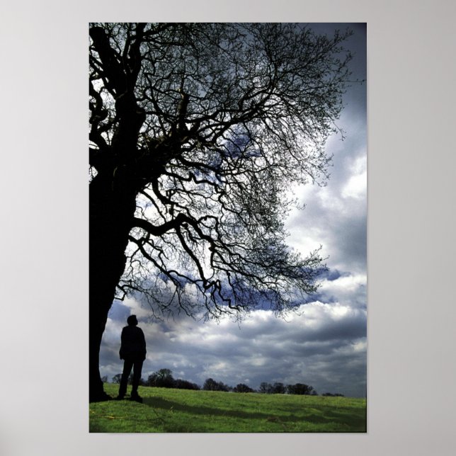 Detta Borta med Vinden Träd Poster (Framsidan)