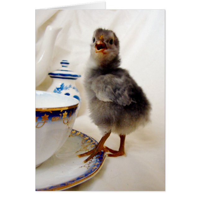 "Detta ingår inte i mitt kontrakt" säger chicken Hälsningskort (Framsidan)