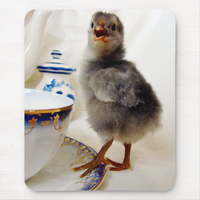 "Detta ingår inte i mitt kontrakt" säger chicken Musmatta (Framsidan)