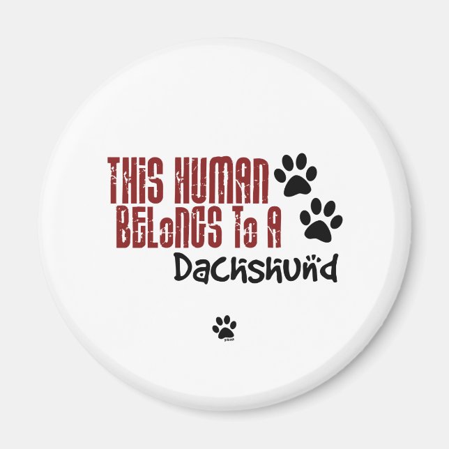 Detta mänskliga Tillhör till en Dachshund Magnet (Framsidan)