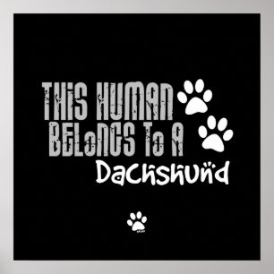 Detta mänskliga Tillhör till en Dachshund Poster