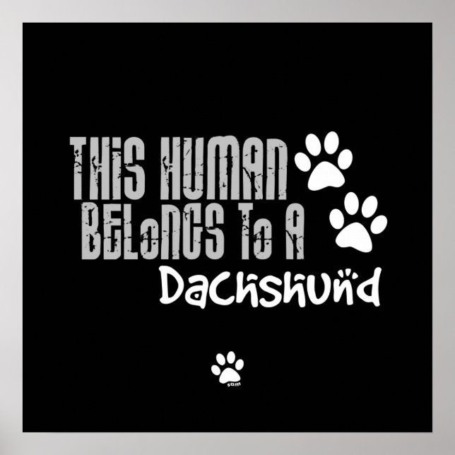 Detta mänskliga Tillhör till en Dachshund Poster (Framsidan)