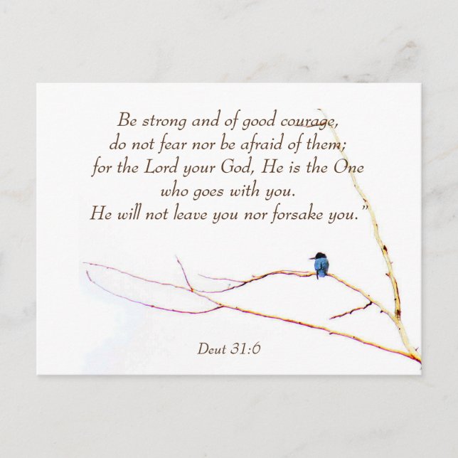 Deut 31:6 Du är inte Ensam Bible Kingfisher Bird Vykort (Framsida)