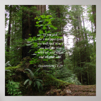 Deuteronomi 4:29 ~ Söka efter Herren Poster