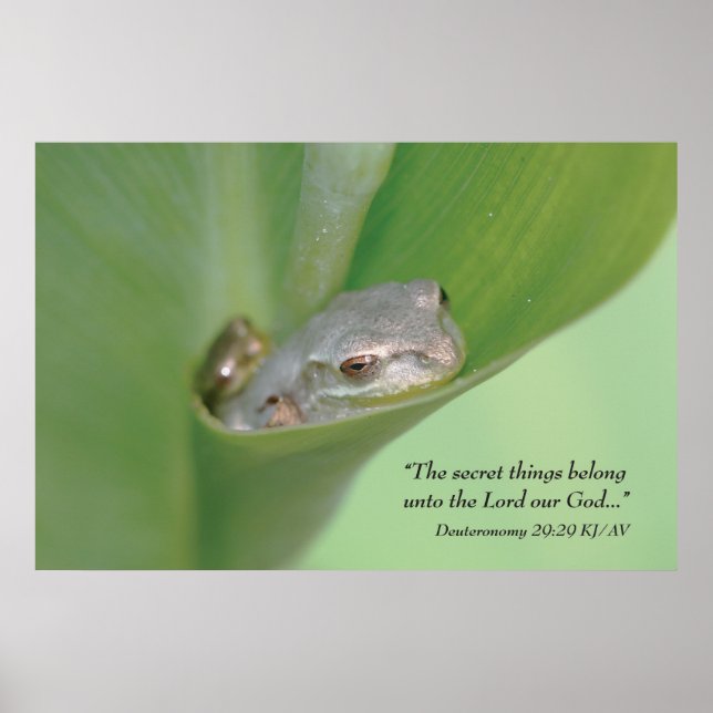 Deuteronomy 29:29 Scripture Print Poster (Framsidan)