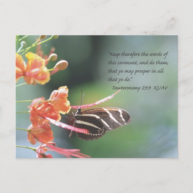 Deuteronomy 29:9 Scripture Postcard Vykort (Framsida)