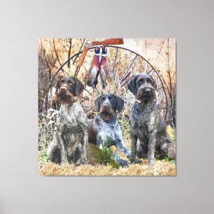 Deutsch Drahthaar Canvastryck