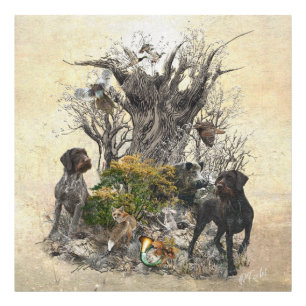 Deutsch Drahthaar Fototryck