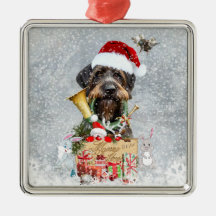 Deutsch Drahthaar, God jul!