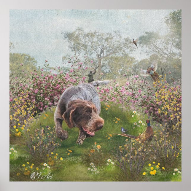 Deutsch Drahthaar Poster (Framsidan)