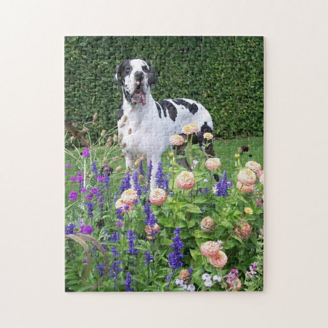 Deutsche Dogge, Great Dane,Hunde,Dogue Allemand Pussel (Vertikal)