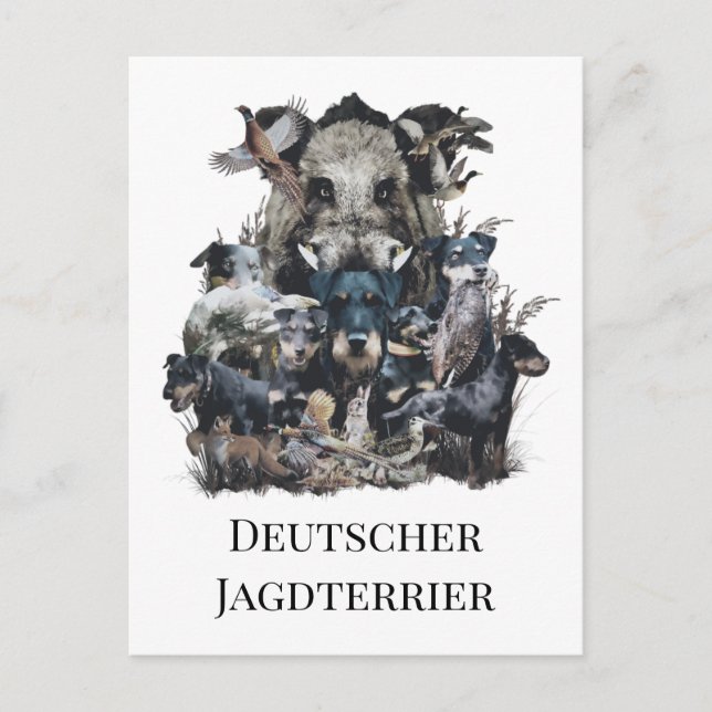 Deutscher Jagdskräcker Vykort (Framsida)