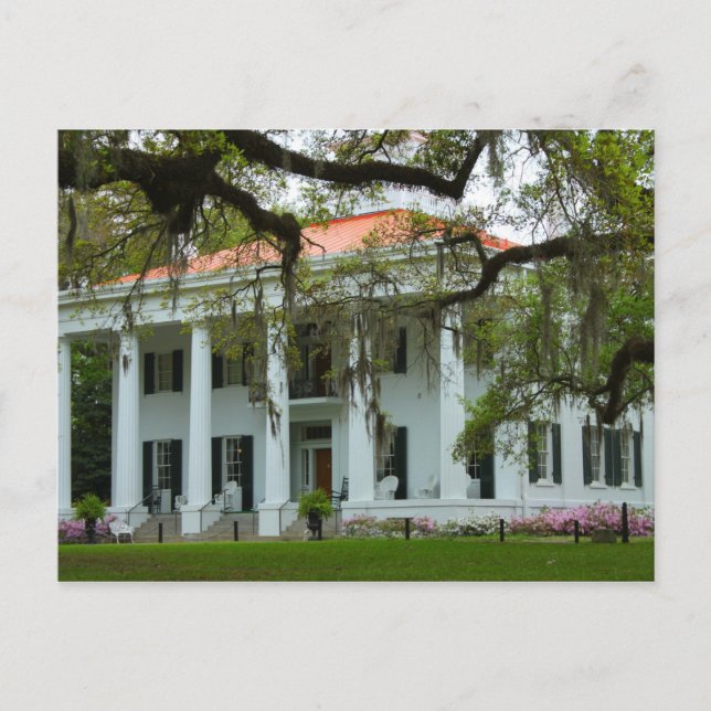 D'Evereux Antebellum Home - Natchez, MS Vykort (Framsida)