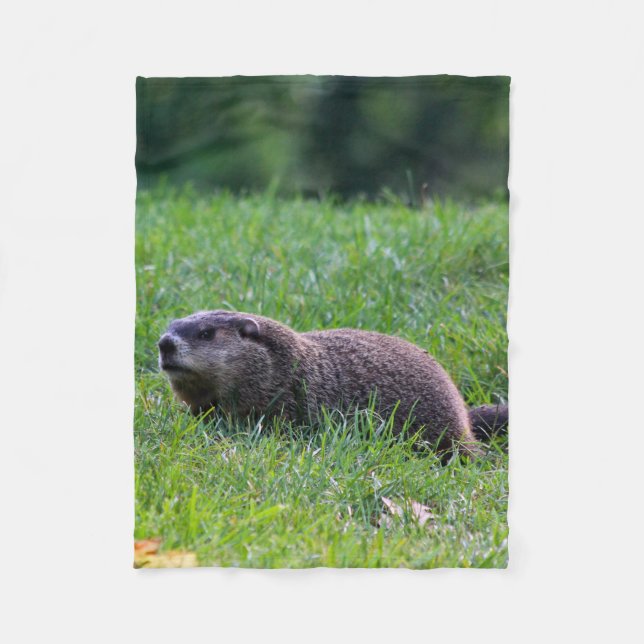 Devil's Hole Digger Fleecefilt (Framsidan)