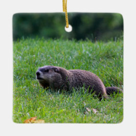 Devil's Hole Digger Julgransprydnad Keramik