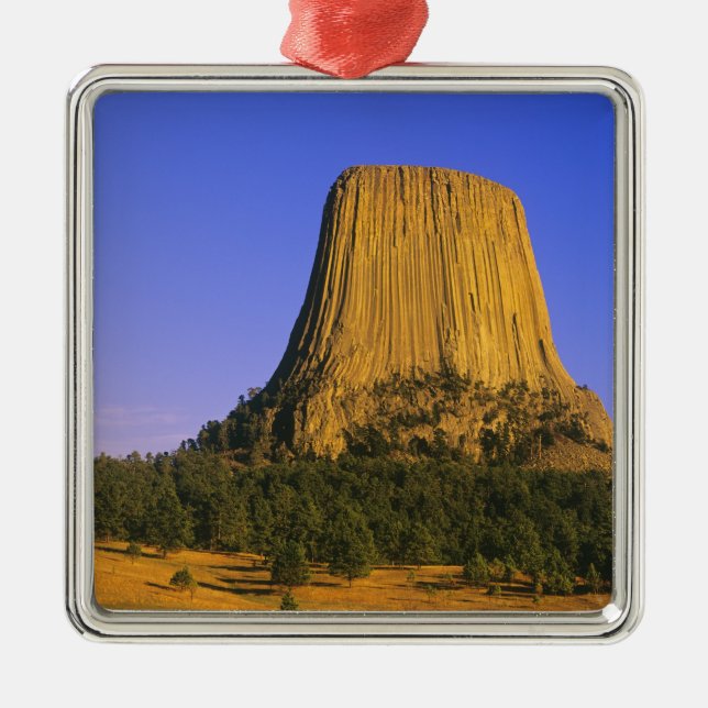 Devils Tower National Monument i Wyoming Julgransprydnad Metall (Framsidan)