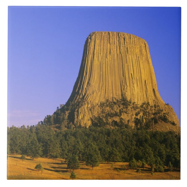 Devils Tower National Monument i Wyoming Kakelplatta (Framsidan)