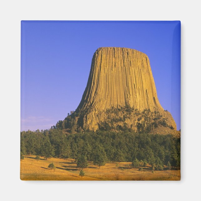 Devils Tower National Monument i Wyoming Magnet (Framsidan)