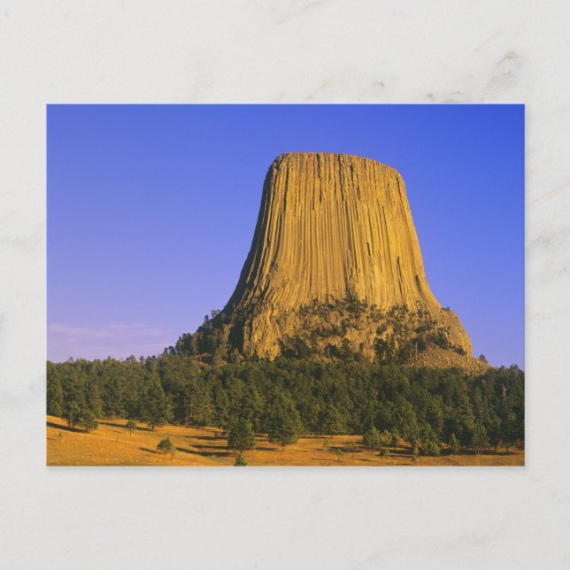 Devils Tower National Monument i Wyoming Vykort (Framsida)