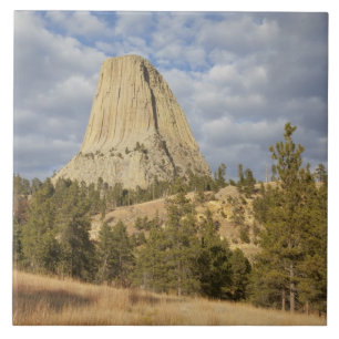 Devils Tower National Monument Kakelplatta
