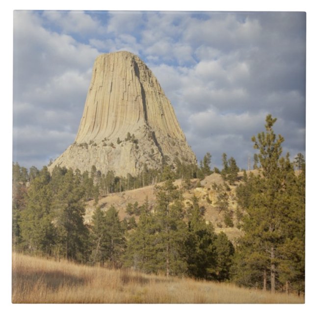 Devils Tower National Monument Kakelplatta (Framsidan)