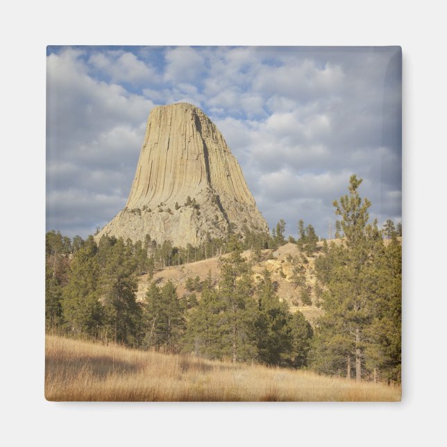 Devils Tower National Monument Magnet (Framsidan)