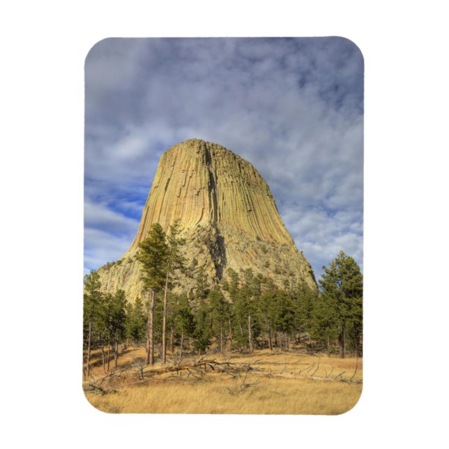 Devils Tower National Monument Magnet (Vertikal)