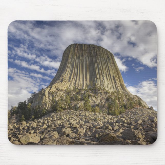 Devils Tower National Monument Musmatta (Framsidan)