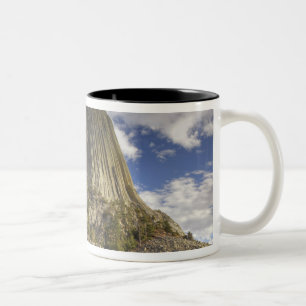 Devils Tower National Monument Två-Tonad Mugg